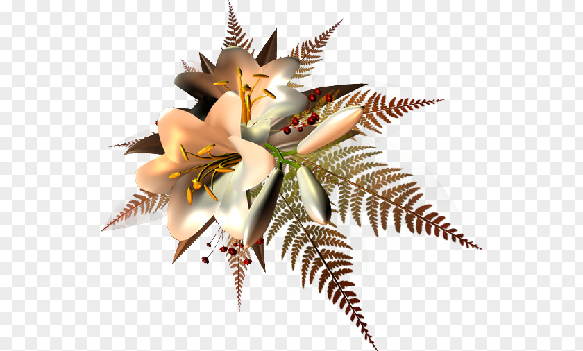 Invertebrate Plant PNG