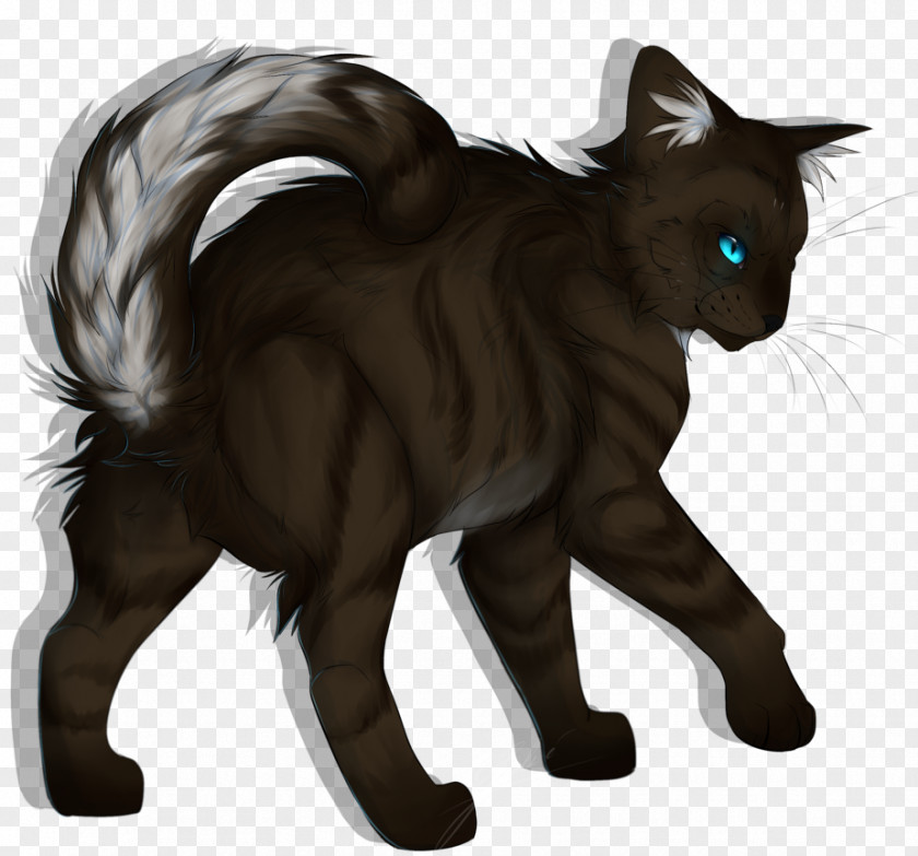 Kitten Whiskers Manx Cat Domestic Short-haired Black PNG
