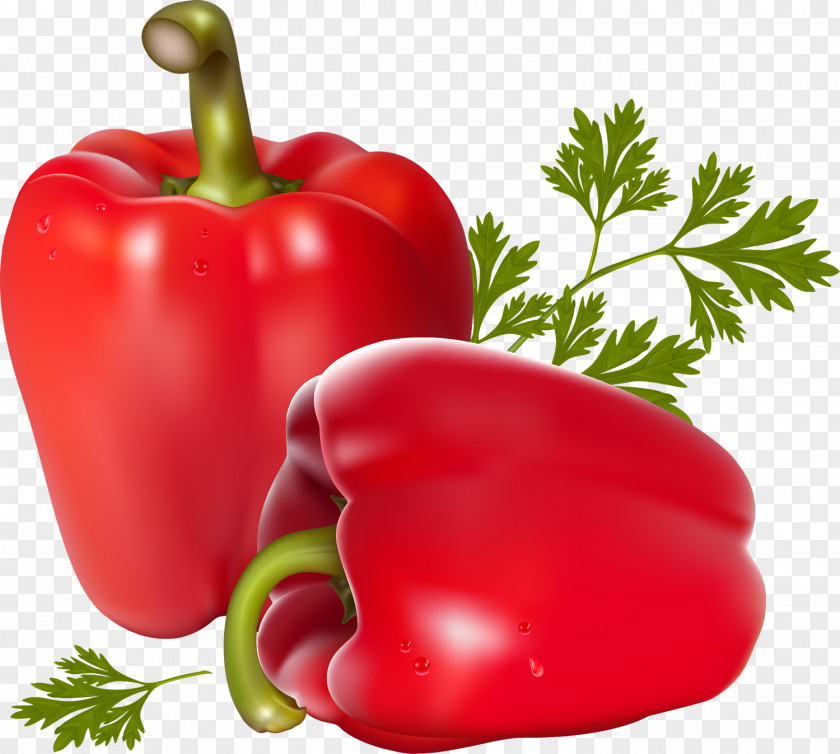 Pepper Vegetarian Cuisine Chili Vegetable Bell PNG