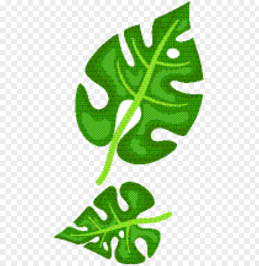 Symbol Botany Green Leaf Background PNG