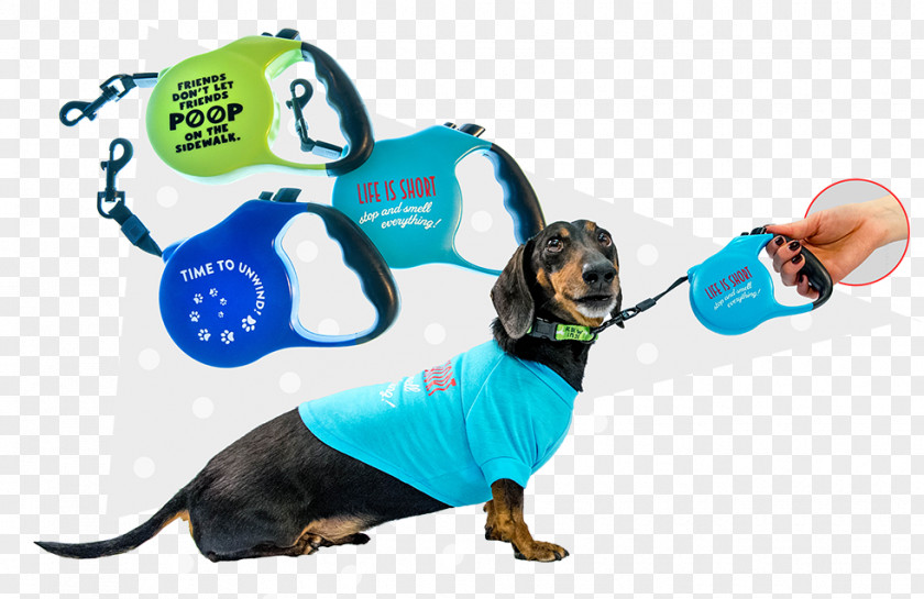 Wiener-Dog Dog Breed Puppy Leash Snout PNG