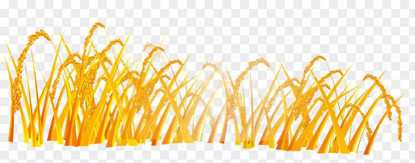 Autumn Wheat Computer File PNG