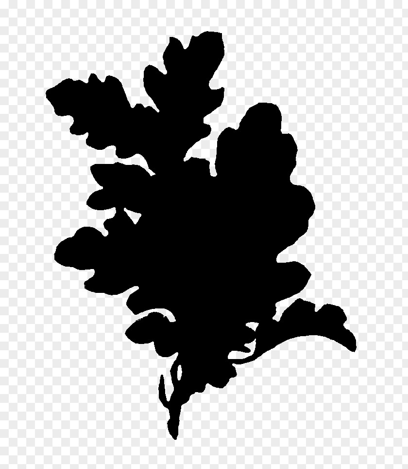 Clip Art Silhouette Leaf Flowering Plant Plants PNG
