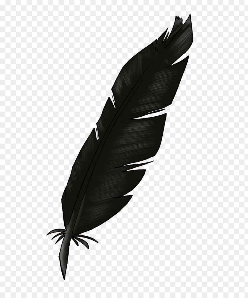 Feather Light Clip Art PNG