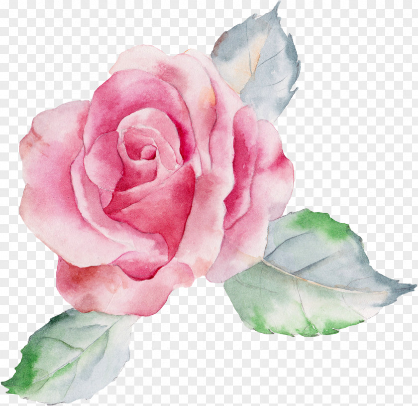Pink Flowers Painting Flower Canvas Art PNG