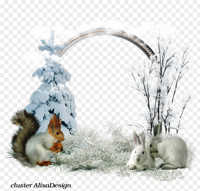 Winter's Tale Domestic Rabbit PNG