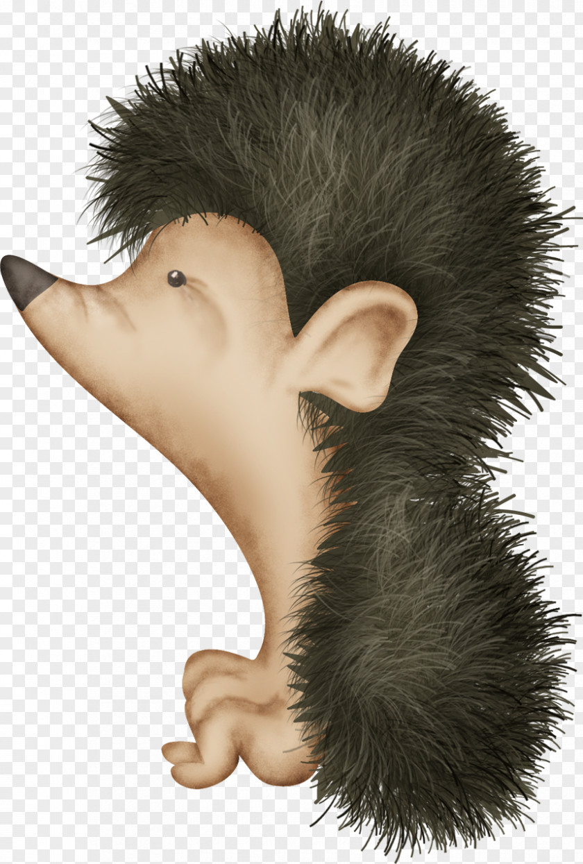 Cartoon Hedgehog Echidna PNG