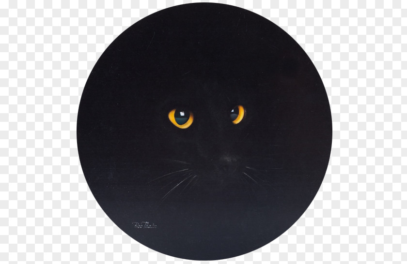 Cat Whiskers Snout Black M PNG