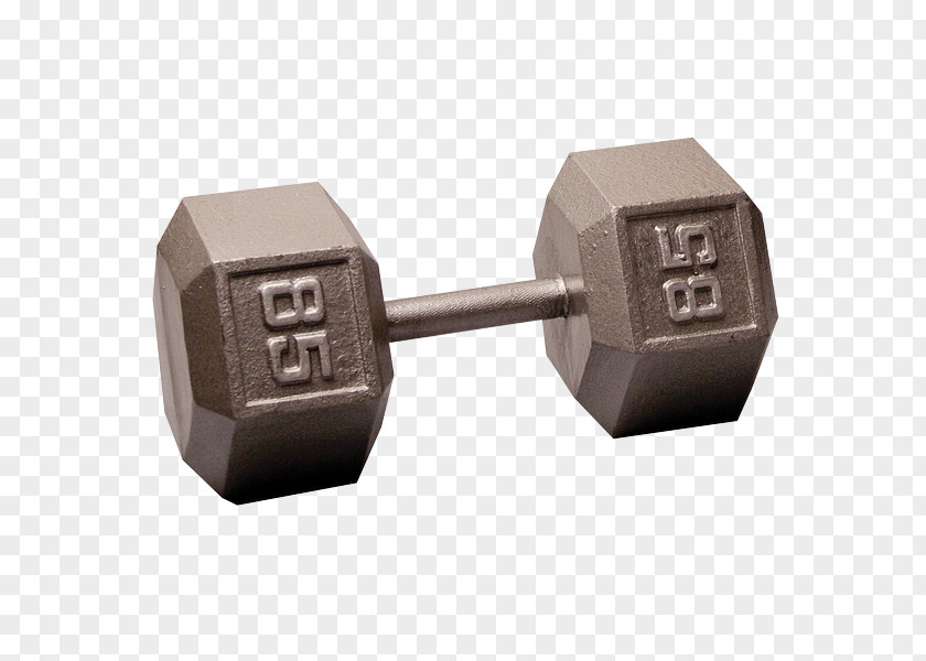 Dumbbell Barbell Biceps Curl Weight Bench Press PNG