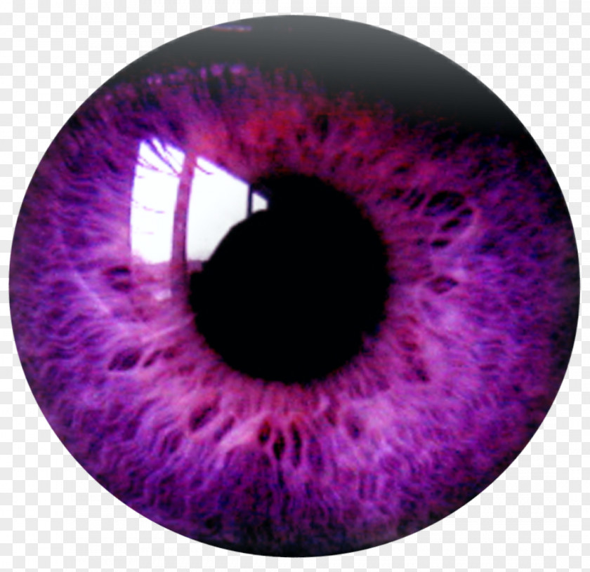 Eye Color Clip Art Image PNG