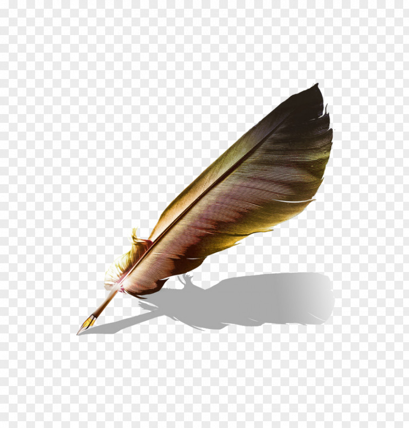 Feather Matilda Paper Quill PNG
