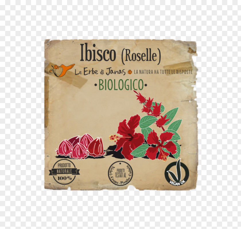 Hibiscus Sabdariffa Roselle Shoeblackplant Herb Le Erbe Di Janas Srl Henna PNG