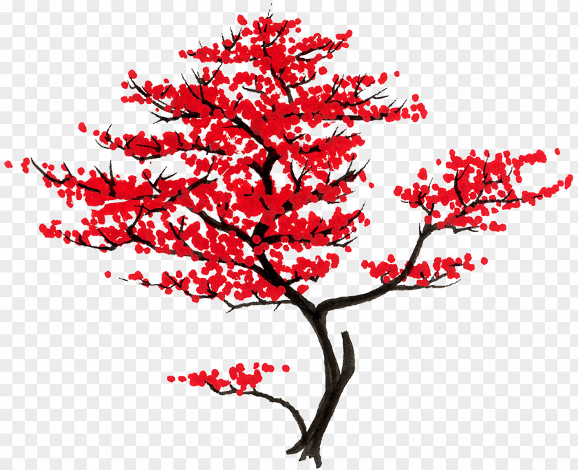 Japan Tree Japanese Maple Acer Shirasawanum Branch Woody Plant PNG