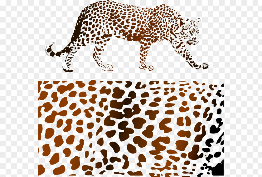 Leopard,leopard Leopard Felidae Cheetah Jaguar Lion PNG