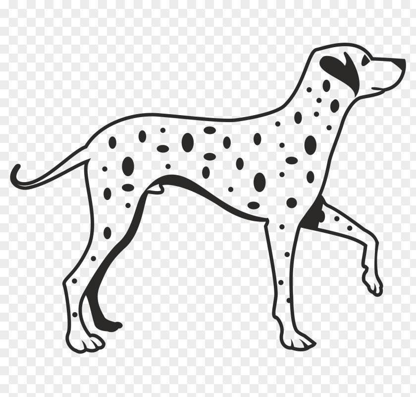 Puppy Dalmatian Dog Breed Clip Art Fire PNG