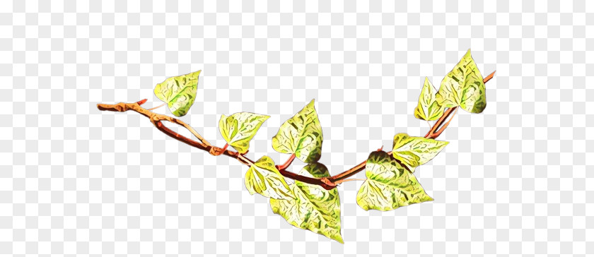 Twig Plant Stem Flowering Leaf PNG