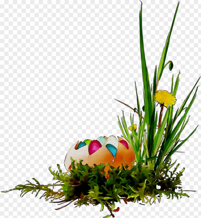 Floral Design Easter Egg Grasses PNG
