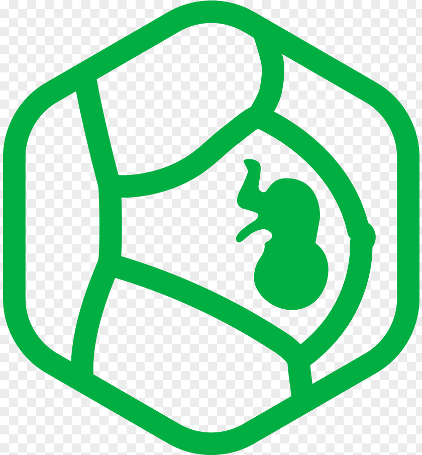 Symbol Green Web Design PNG