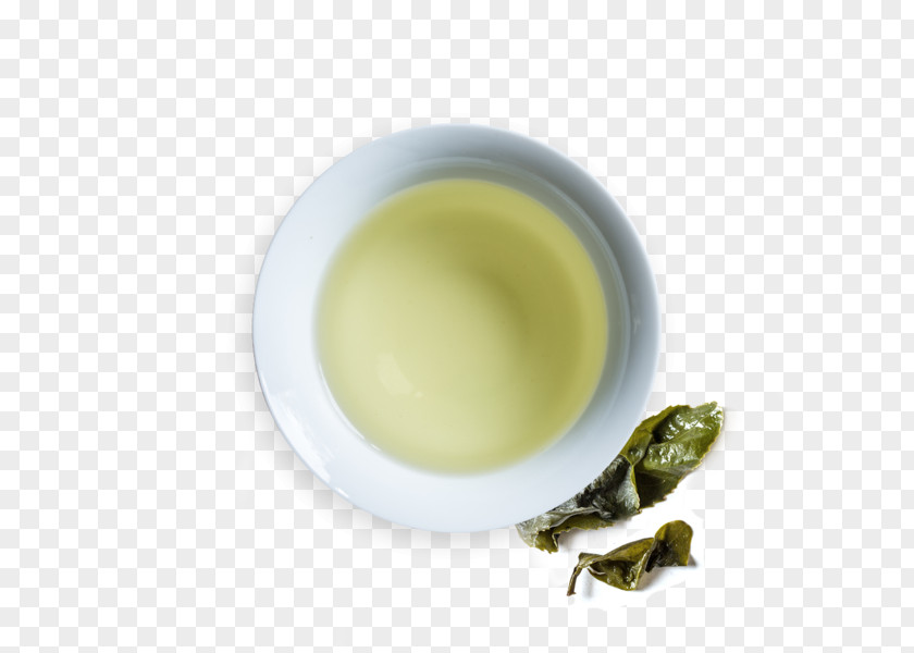 Tea Sencha Oolong Hōjicha Gyokuro PNG