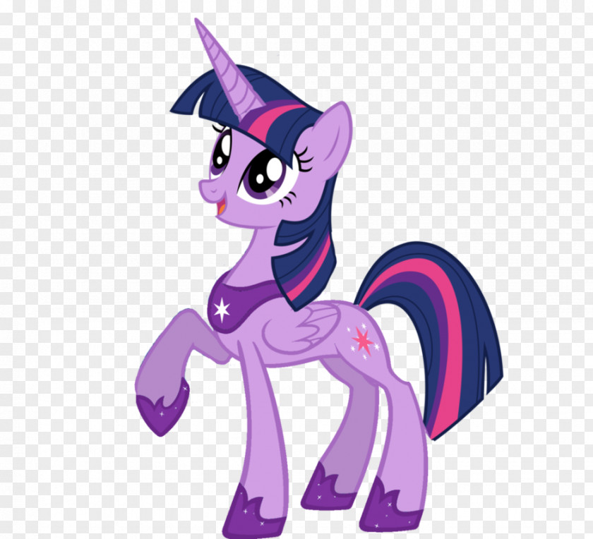 Twilight Sparkle Rainbow Dash Rarity Pony Princess Celestia PNG