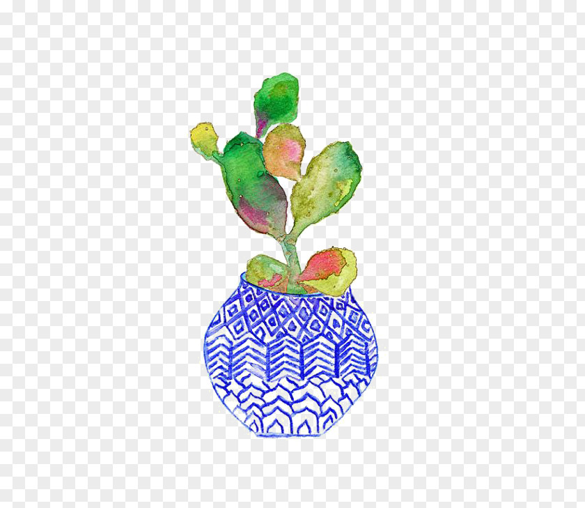 Cactus Cactaceae Watercolor Painting Succulent Plant Printmaking Illustration PNG
