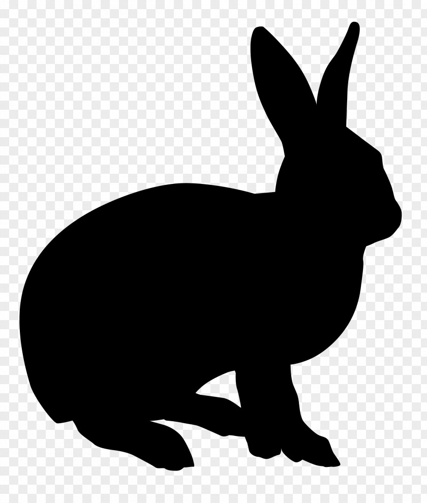 Clip Art Domestic Rabbit Openclipart Image Illustration PNG