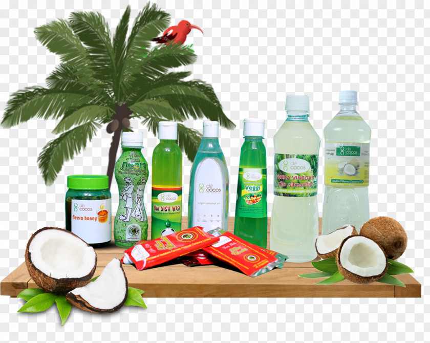 Coconut Milk Oil Drink Food PNG