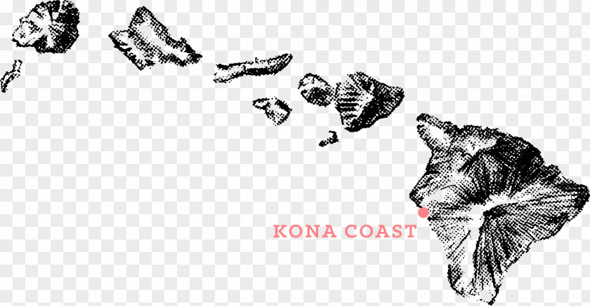 Design Drawing Poke Cuisine Of Hawaii PNG