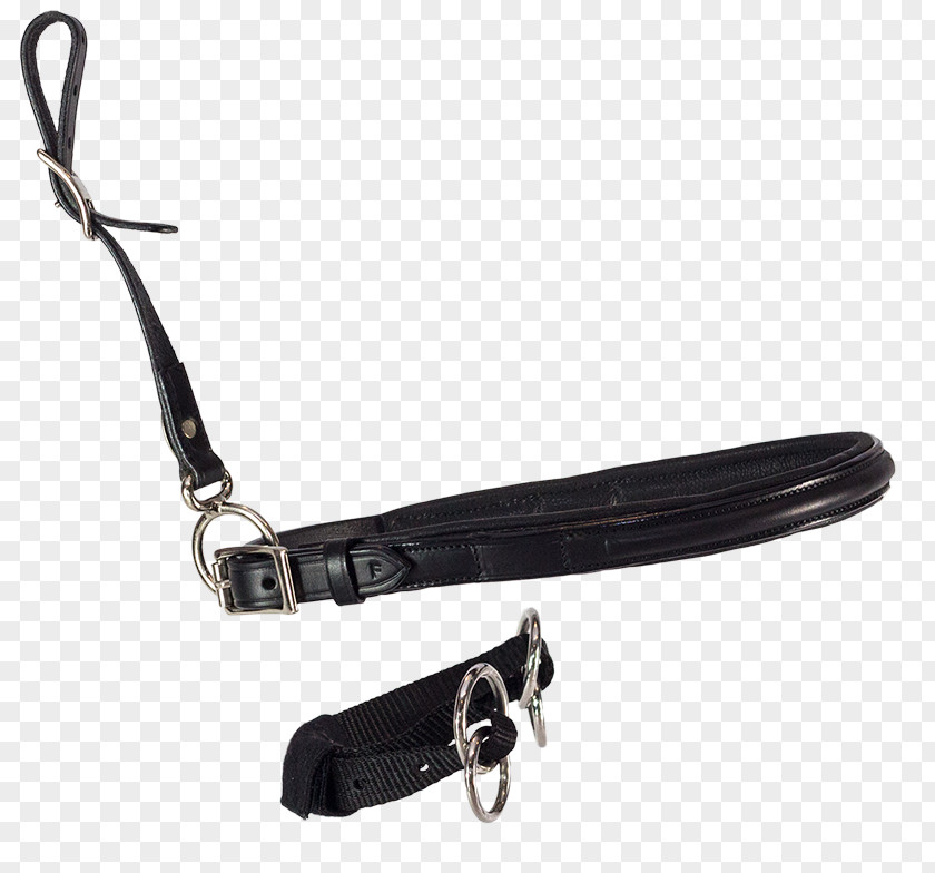 Light Focus Bitless Bridle Noseband Leash Netherlands PNG