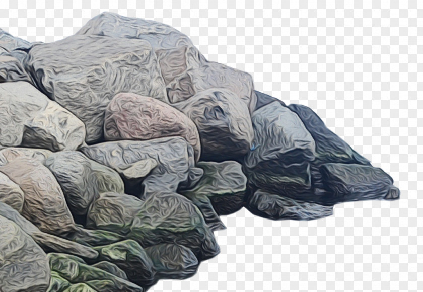Plant Boulder Rock Background PNG