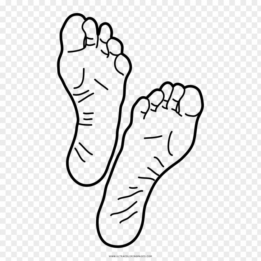 Book Thumb Foot Drawing Coloring PNG