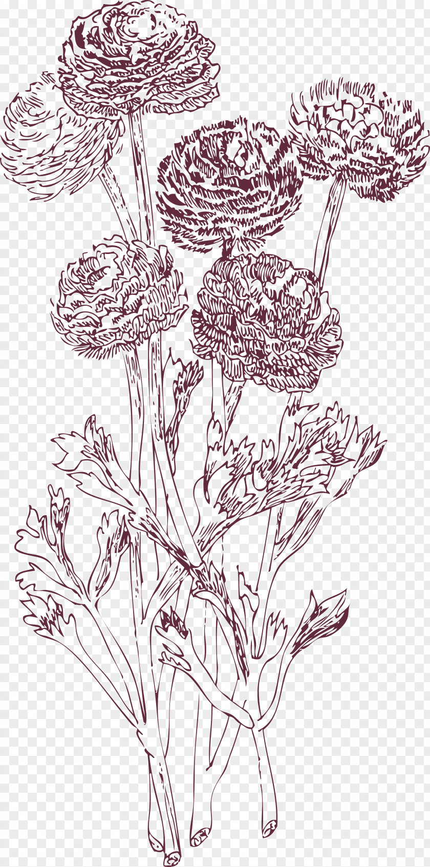 Floral Decorative Pattern Drawing Illustration PNG