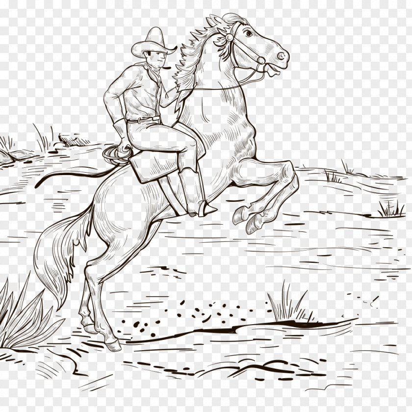 Horse Cowboy Drawing Mexican Cuisine Sketch PNG