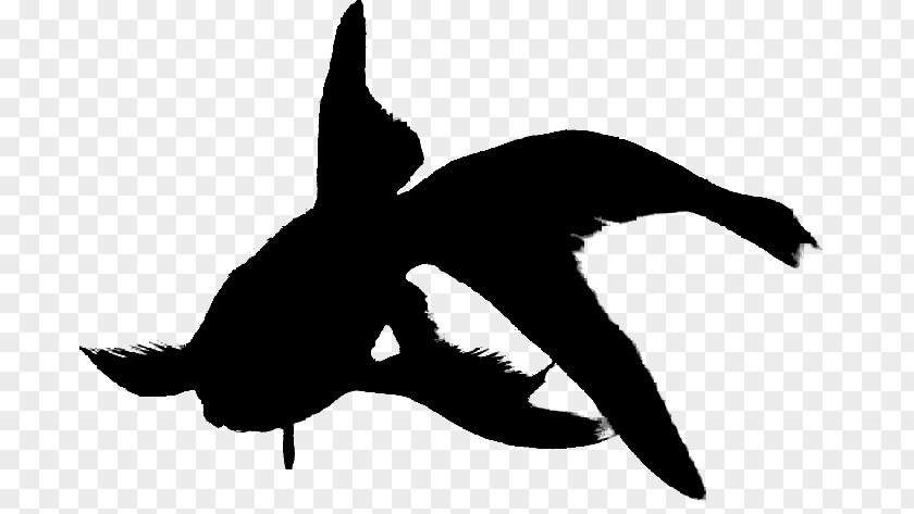 Logo Blackandwhite Bird Silhouette PNG