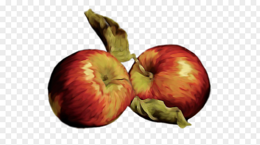 Two Apples Apple Food PNG