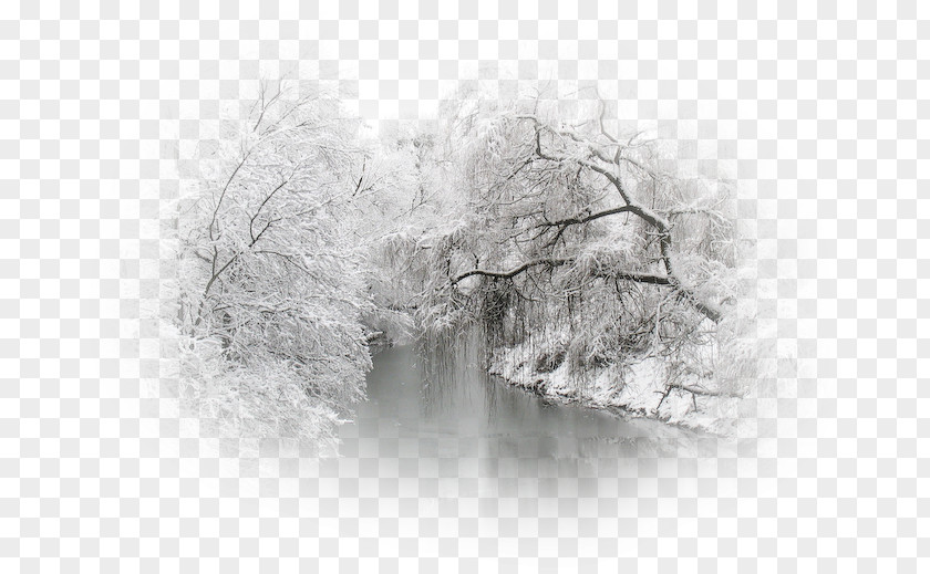 Winter Landscape Painting Cygnini PNG
