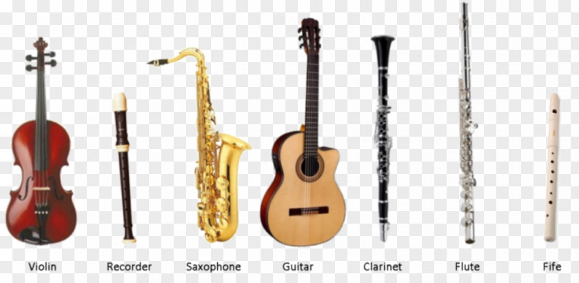 Bass Guitar Acoustic Musical Instruments Instrumental PNG