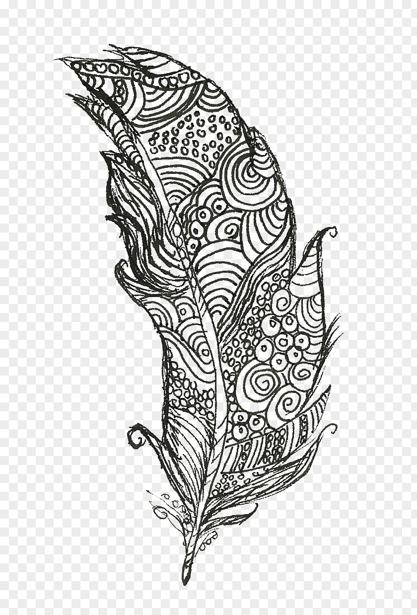 Doodles Feather Art Drawing Doodle PNG