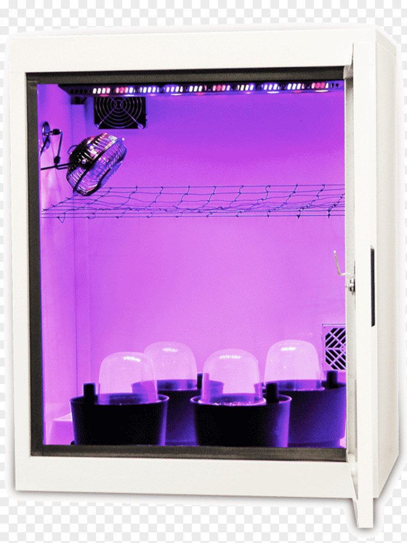 Micro Marijuana Grow Box Cannabis Soil Display Device Multimedia PNG