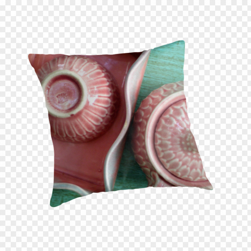 Pillow Cushion Throw Pillows PNG