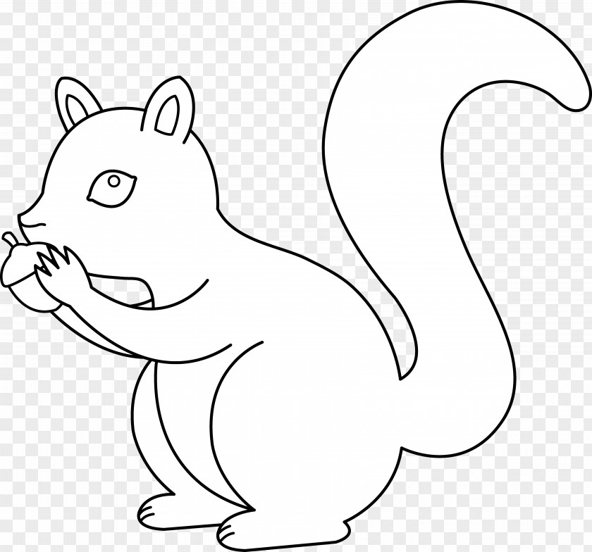 Squirrel Black Drawing Clip Art PNG