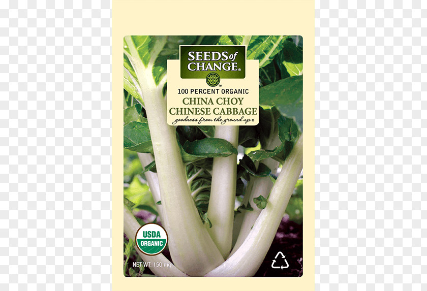 Vegetable Chard Chinese Cabbage Cuisine Choy Sum Herb PNG