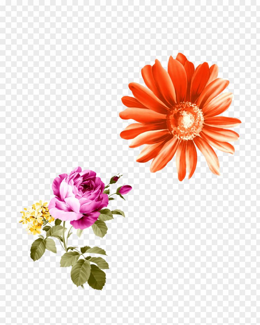 Chrysanthemum Flower Clip Art Red Image PNG