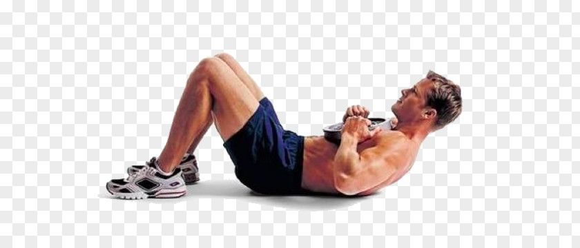 Crunch Abdomen Exercise Muscle Weight Training PNG
