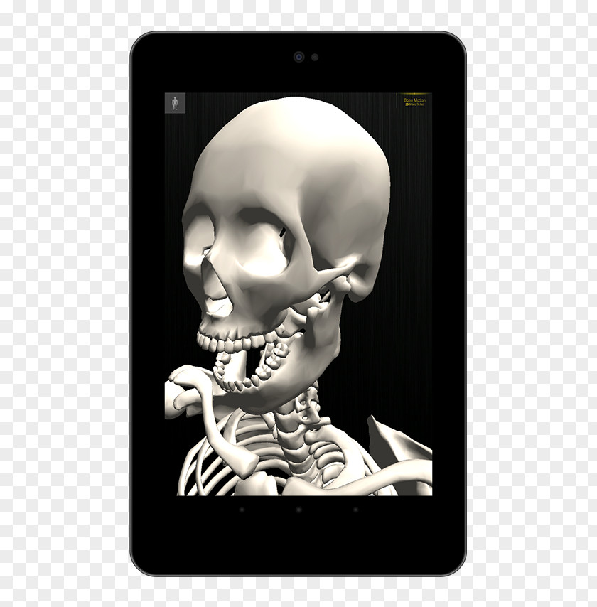Human Body 3D Kindle Fire DIGITAL CONTENT EXPO Android Amazon.com Amazon Appstore PNG