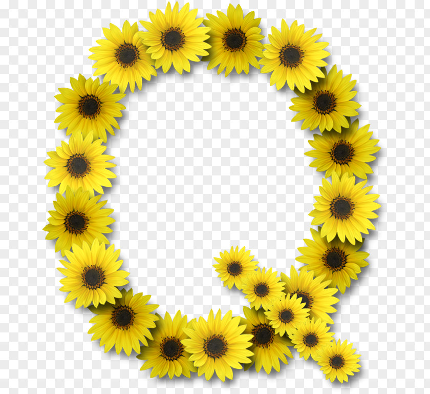 Letter Case Alphabet Clip Art Common Sunflower PNG