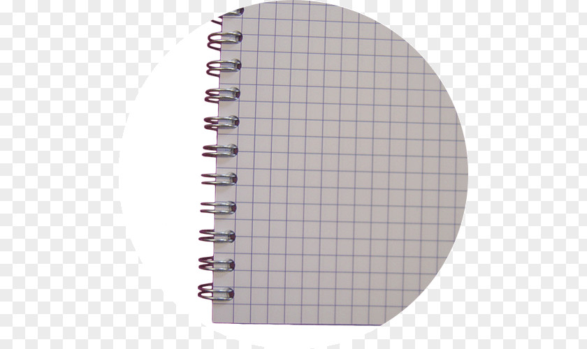 Notebook Standard Paper Size Spiral Rue Des Petits-Carreaux PNG