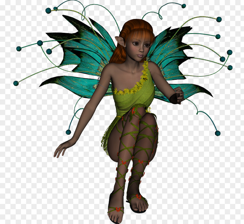 Tortuga Duende Fairy Wing Insect Butterfly Costume Design PNG