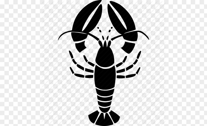 Vector Icon Lobster Caridea Seafood Shrimp PNG