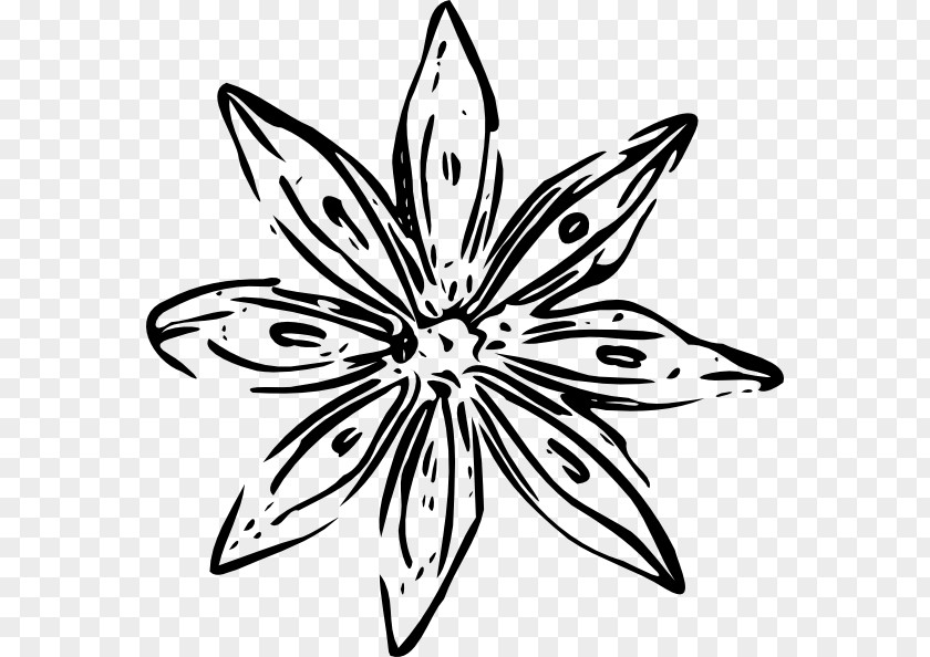 Black And White Flower Outline Free Content Clip Art PNG